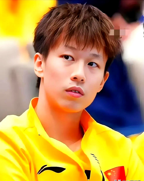 关于瑞典队轻取日本队，林高远高光表现的信息