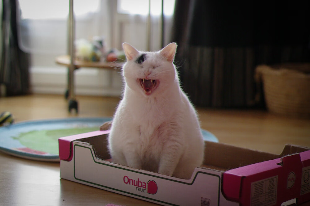 开云官网-从海布里到世界杯,约翰·斯通斯,一座沉默的桥梁如何接管比赛