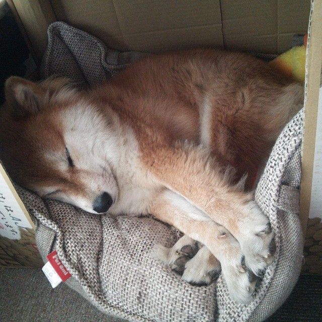 开云体育入口-封锁与接管,现代篮球的两种胜利方程式