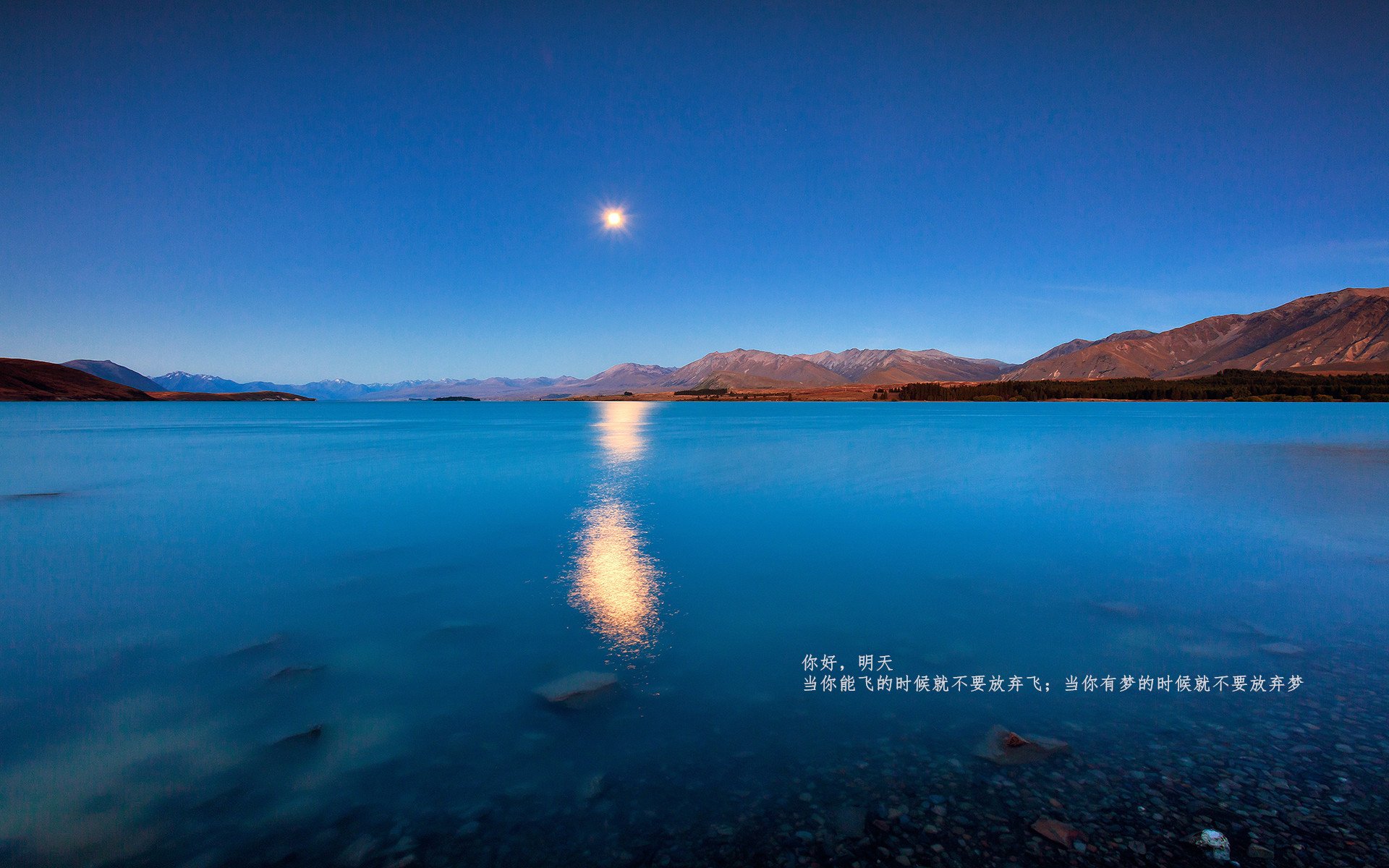 开云官网-时空交错的绝杀,2026世界杯球场的篮球传奇