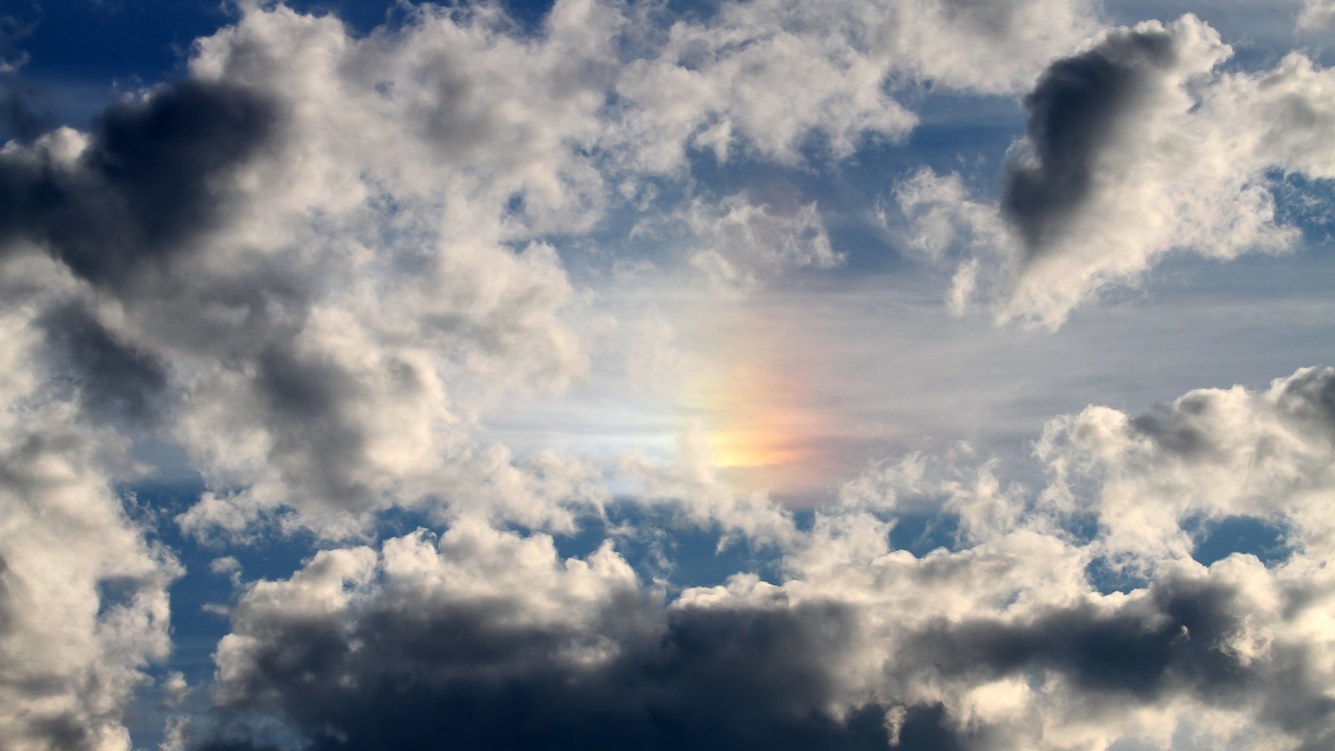 双城记，当福克斯单骑斩落欧冠巨兽，魔术用团队洪流吞噬费城—唯一性在篮球世界的两极呈现