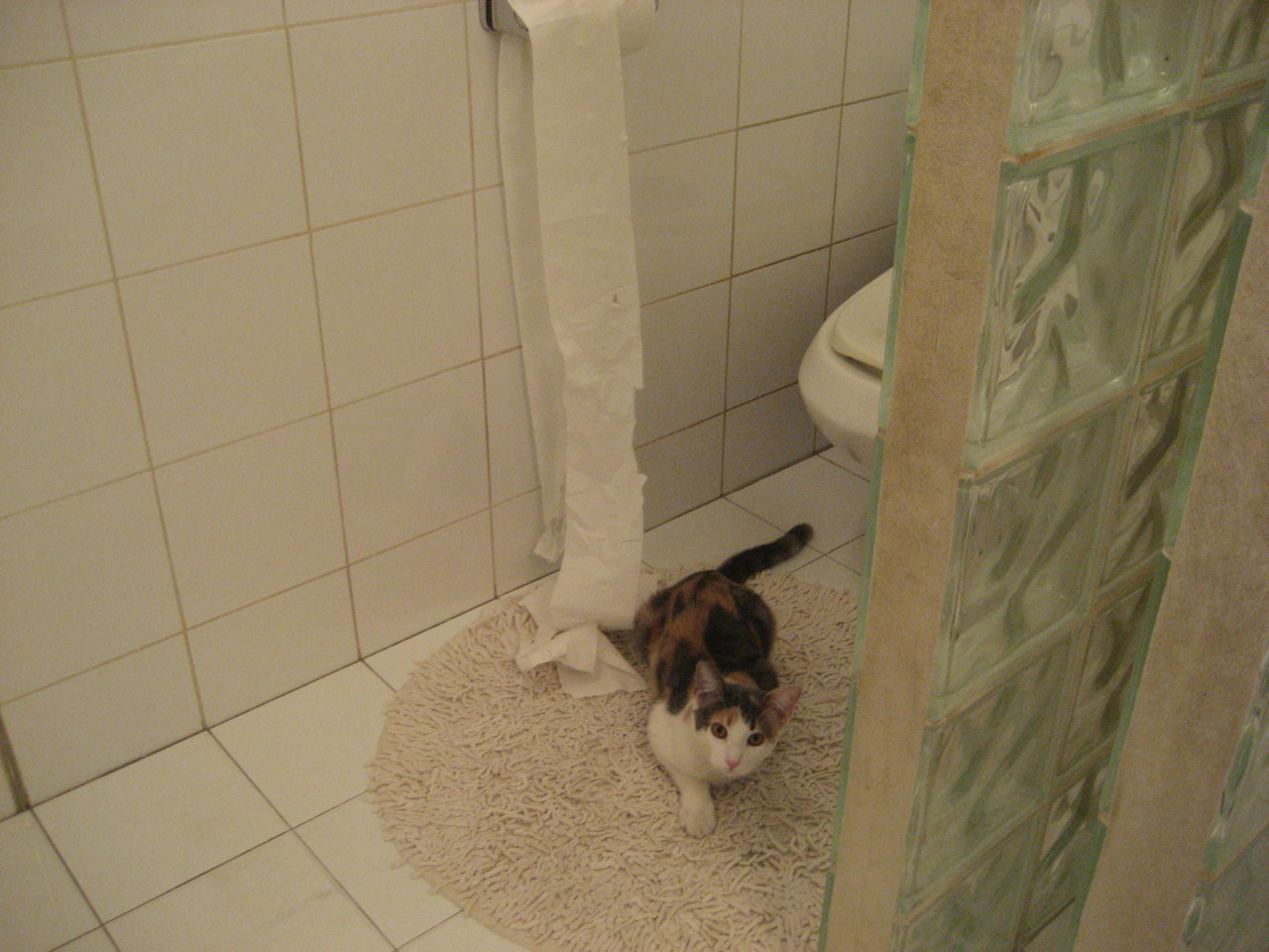 开云-政治博弈的绿茵镜像，美国终结瑞士与卢卡库的隐喻