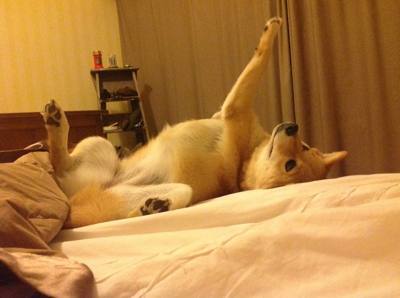 开云APP-东决关键战之夜，神祇只在今夜将他的恩赐命名为蒂亚戈时间