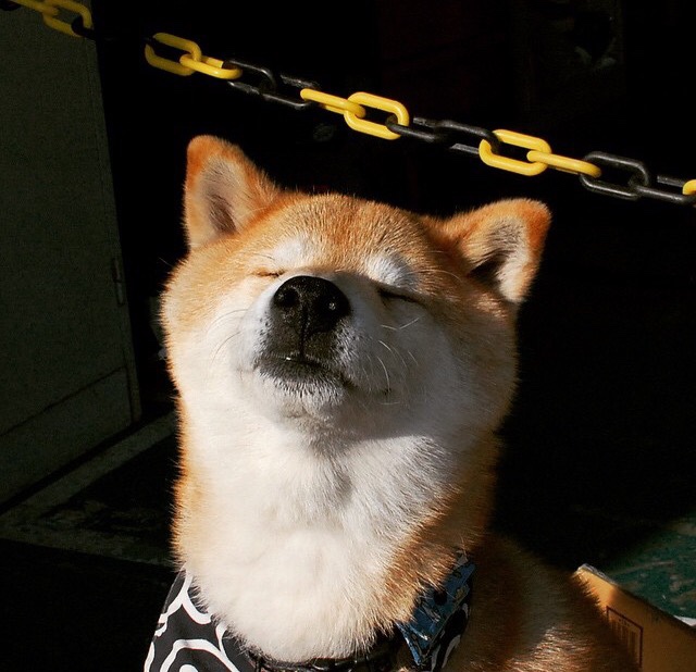 梅西神勇绝杀,勒沃库森强行终结爱尔兰不败神话