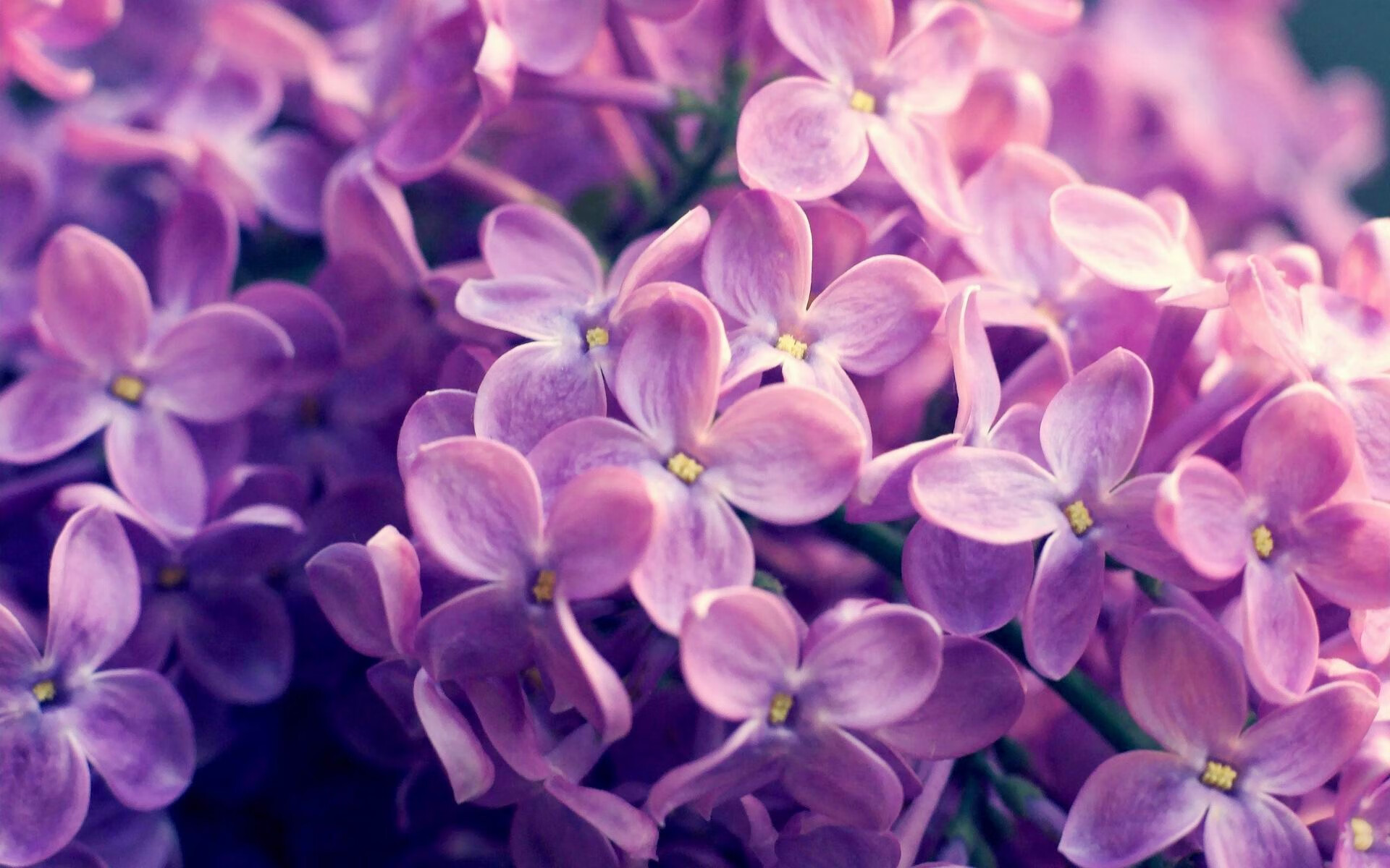 开云APP-隐形战靴，哈登在底特律的无声证明