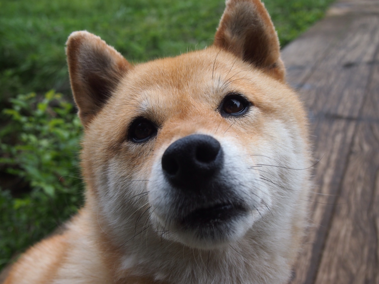 开云sport-当绿茵场化身卡莱战场，富安健洋的罗马式防守征服记