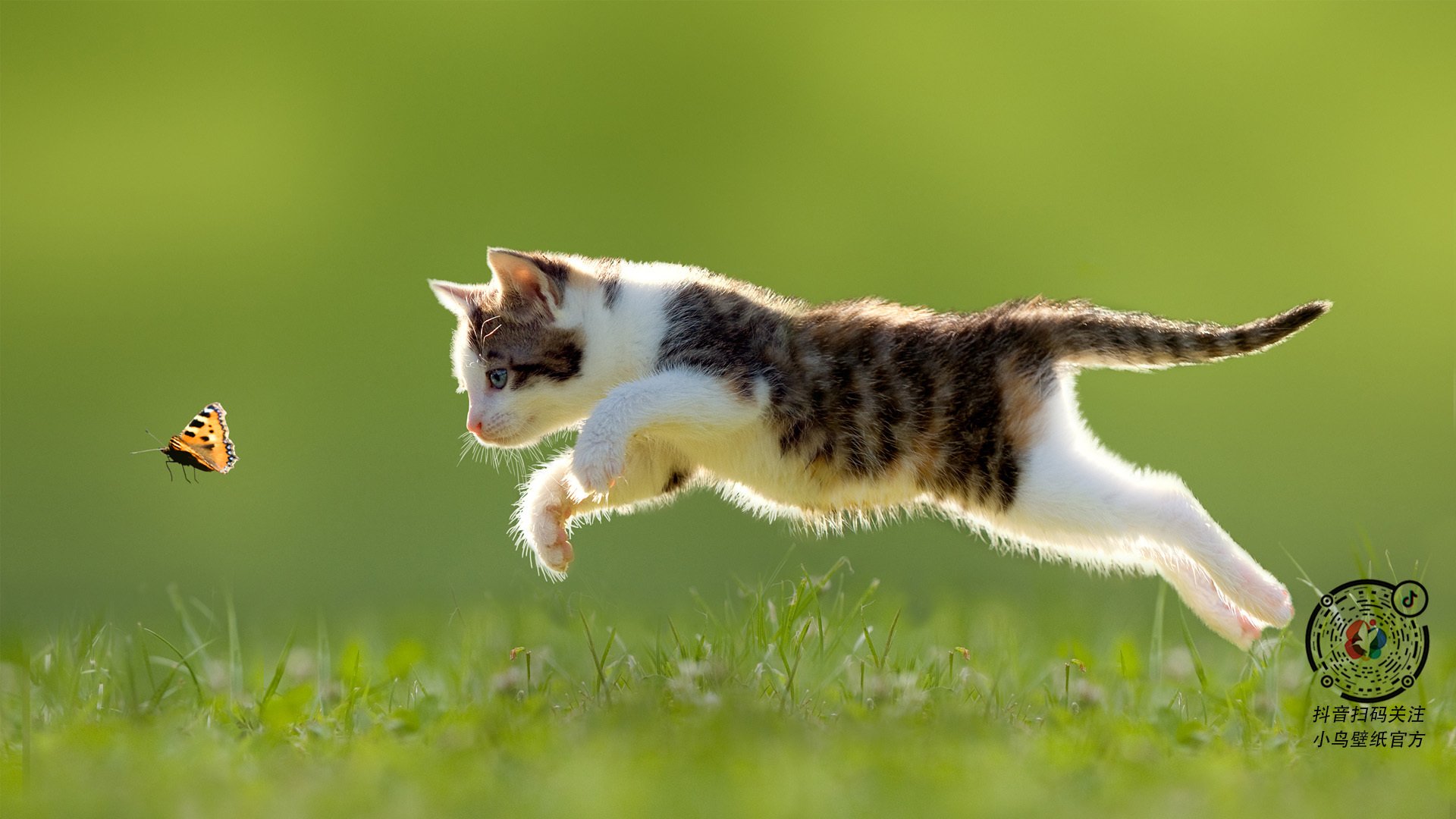 山西队VS老鹰队背后，马克西封神之夜，一通神秘来电改写赛后评分？