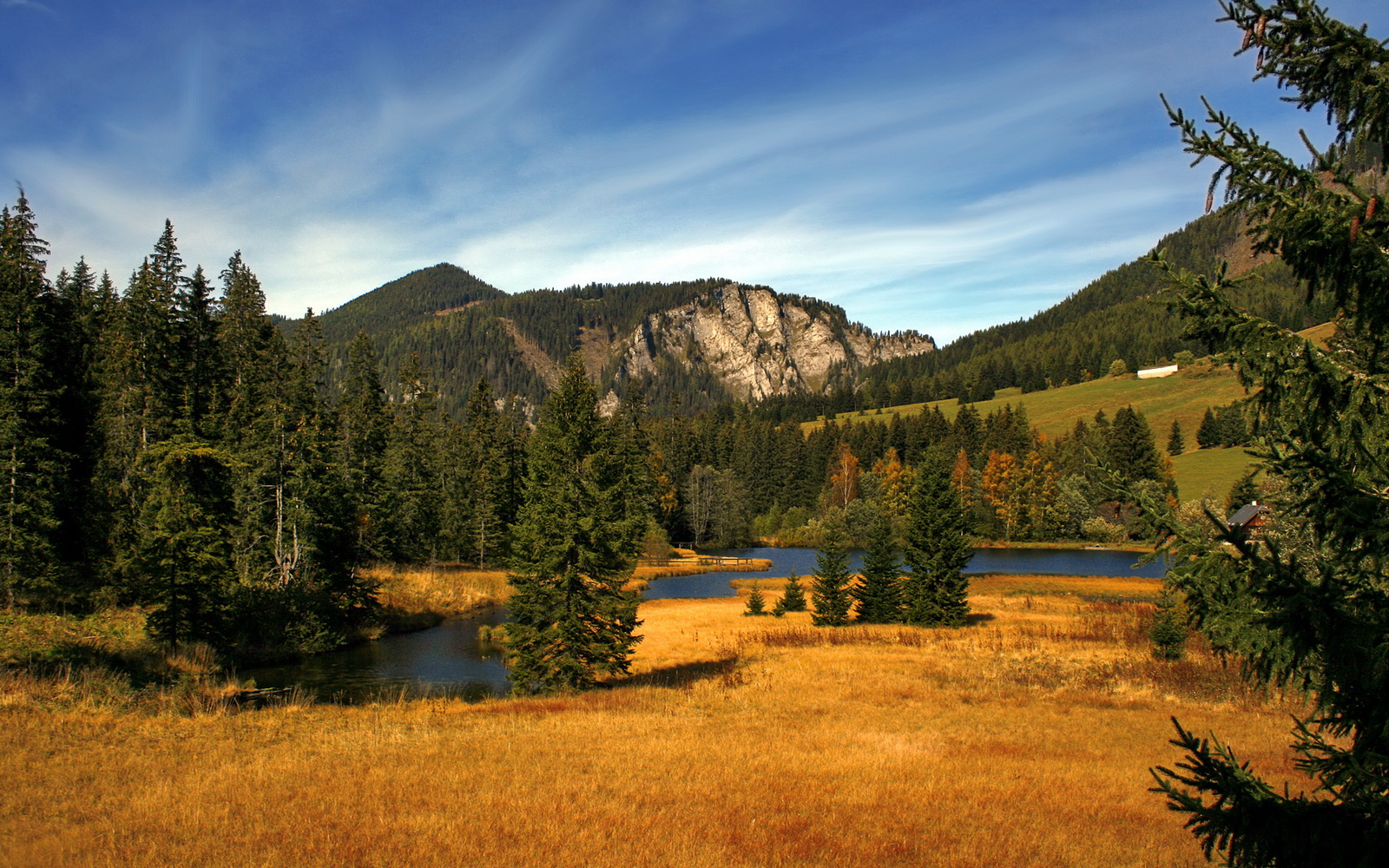 精密铁网锁住加勒比海风，莱奥一剑光寒定乾坤