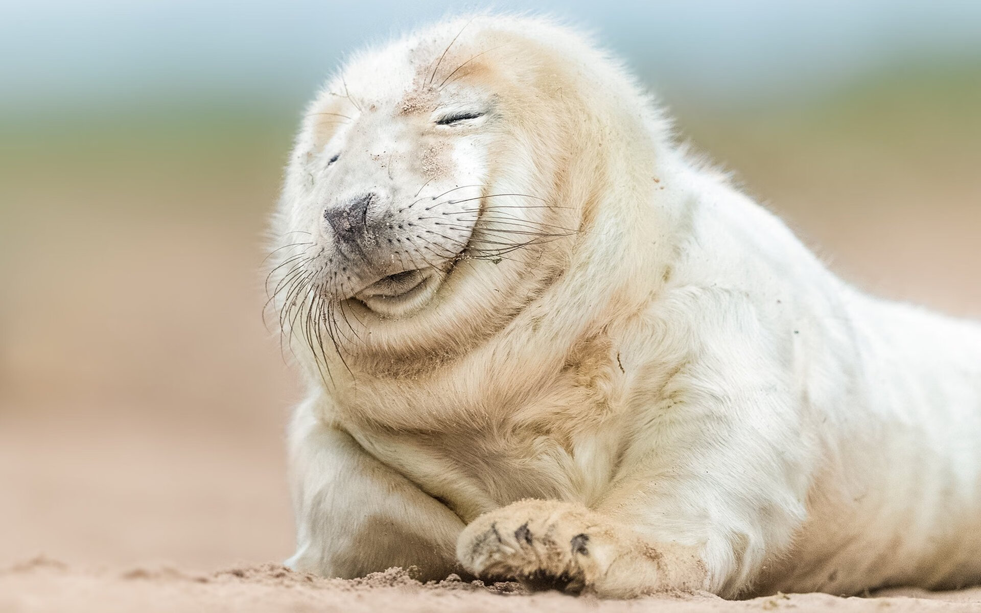 开云体育在线-莫兰特式爆发的背后，湖人一场彰显冠军韧性的生死战取胜独行侠