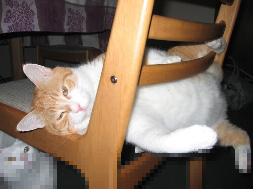 开云平台-燃尽最后一颗子弹，快船冰与火的对决，用进攻狂潮终结抢七悬念