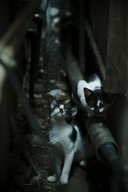 开云体育登录-大场面先生独舞亚平宁—克罗地亚式的尤文征伐与库尔图瓦的封神一夜