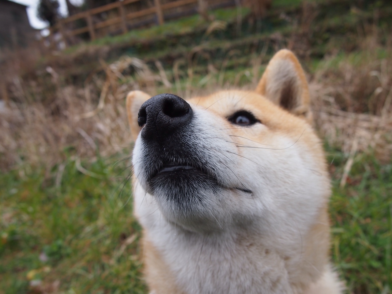 永恒之夜，当黄金一代倒在唯一宿命前