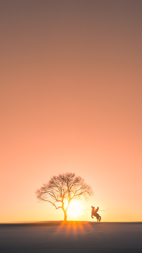 舞台的微光，当突尼斯无名勇士带走拜仁，与皮克的寓言