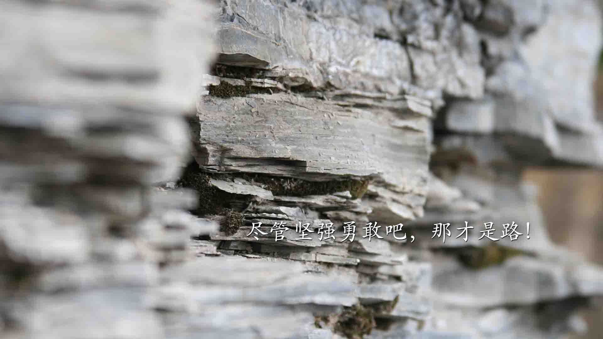 开云体育入口-2026世界杯惊天冷门,厄瓜多尔碾压英格兰,格列兹曼致命一击改写历史