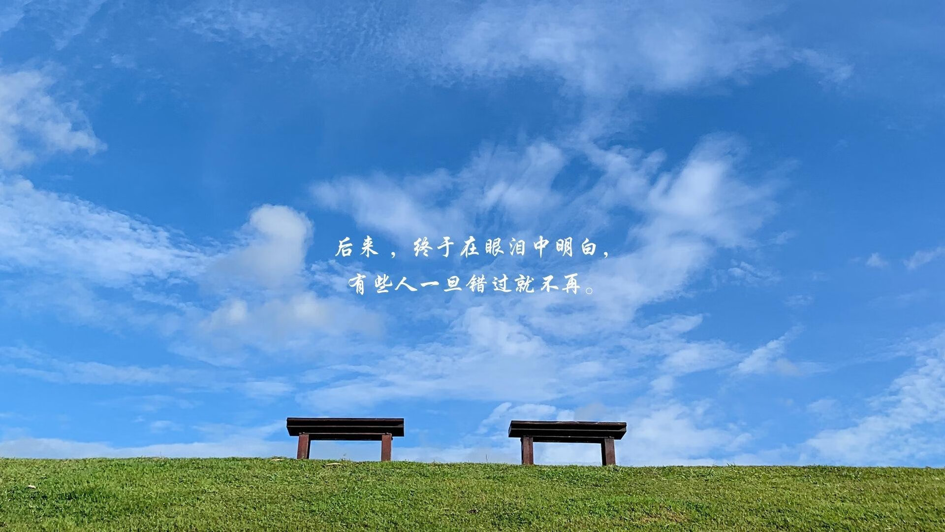 沙漠风暴与高卢雄鸡的对决,2026世界杯,哈基米如何书写阿联酋的逆袭剧本?