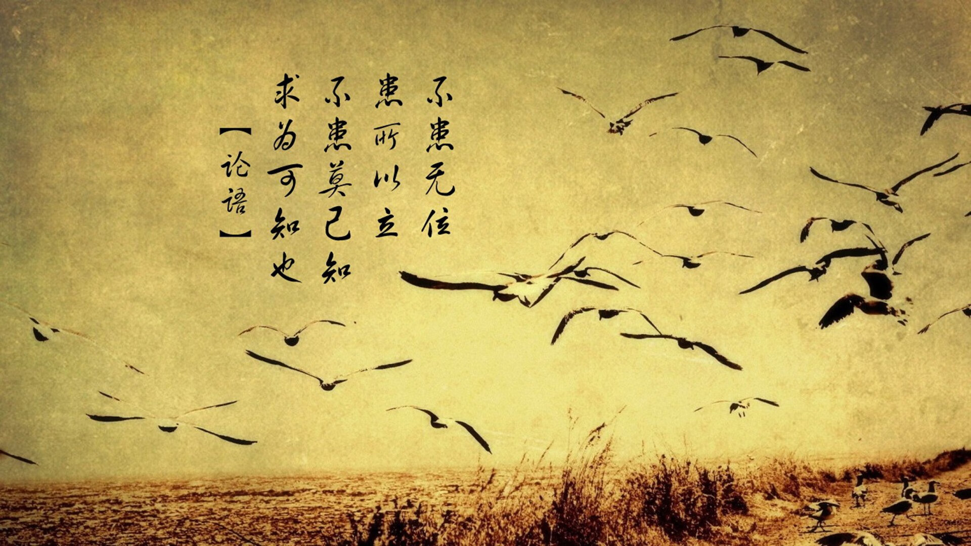 风起卡塔尔,2026世界杯小组赛唯一一场史诗级强强对话,瑞典横扫哥斯达黎加,德布劳内以一己之力定义传奇
